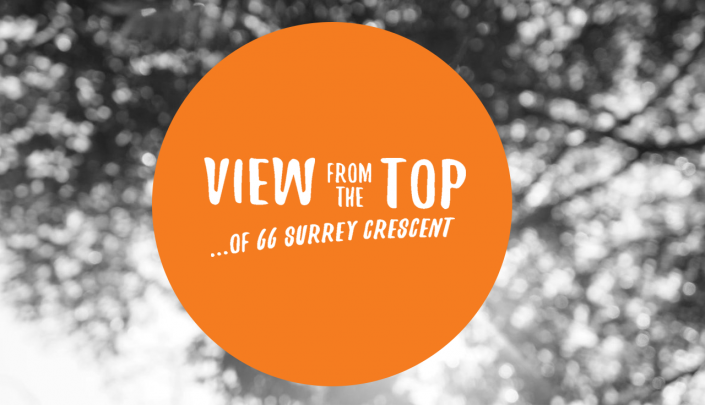 View from the Top banner